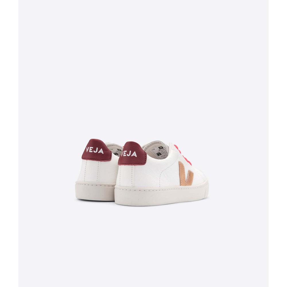 Veja ESPLAR LEATHER Sneakers Kinderen Gold/Red/White | BE 810OKI